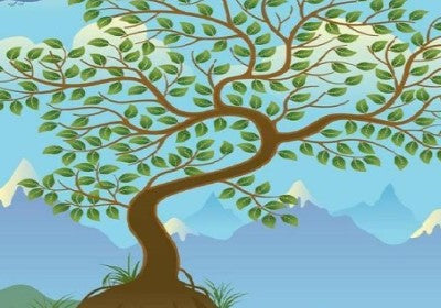 Fig Tree