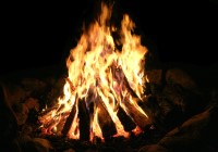 Firewood