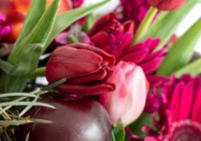 Plum Blush