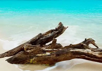 Caribbean Teakwood