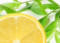 Lemon Verbena Essential Oil